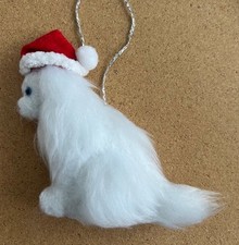 WHITE FLUFFY CAT with