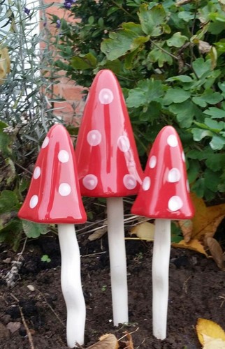Garden ornaments toadstools - garden,