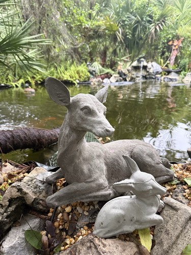 Concrete relaxing fawn - concrete,