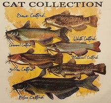 CAT COLLECTION BROWN WHITE BLUE CATFISH FISH FISHING #457 LONG SLEEVES SHIRT