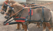 Show quality Mini Shetland Pairs leather harness, reins and bridles 
