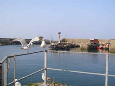 Photo 6x4 Amlwch Port A