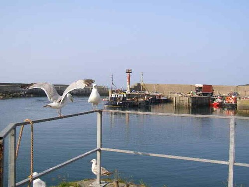 Photo 6x4 amlwch port - port, a