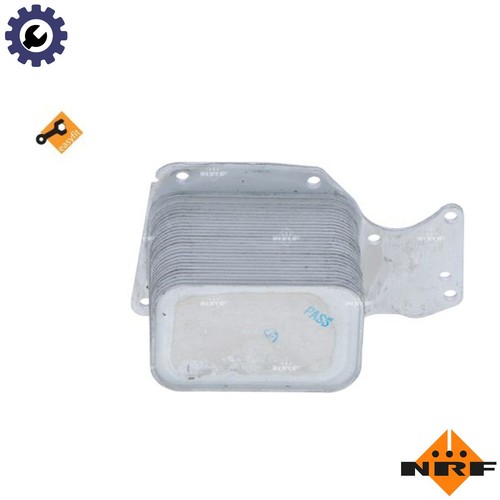 Oil cooler engine - cooler,