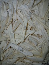 Genuine domestic rabbit craft