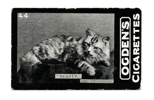 Ogden tabs cigarette card - cigarette,