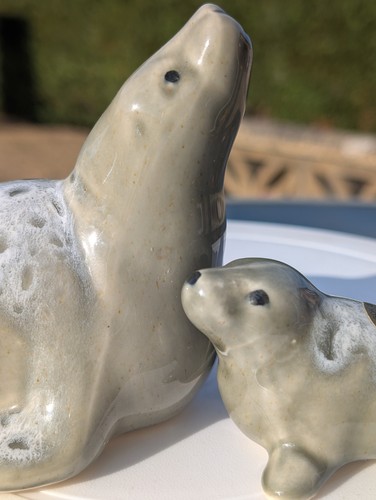 Seal sanctuary gweek ceramic - seal,