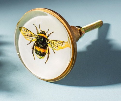 Bee sass belle - bee, door