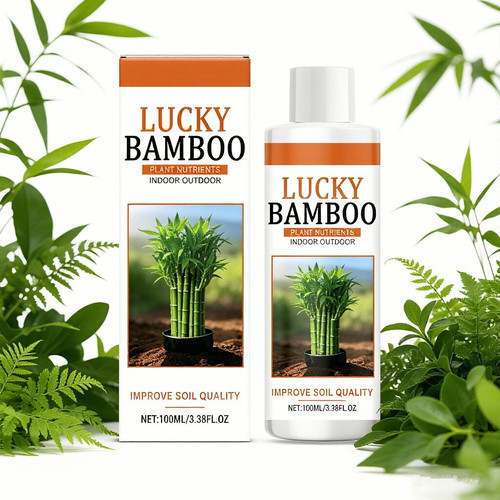 Lucky bamboo plant nutrients - lucky,