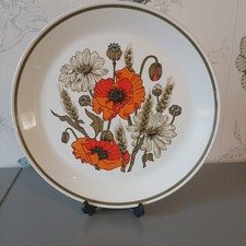 J & G Meakin Studio Orange