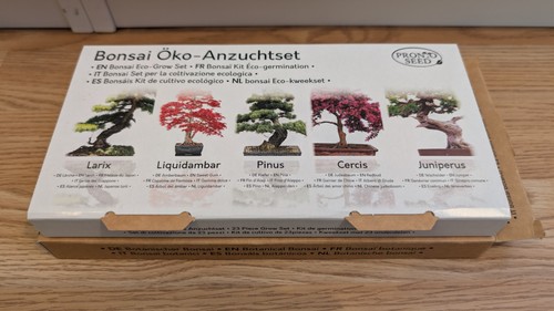 Bonsai tree kit grow your - tree, own