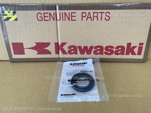 Kawasaki kdx250sr dx250f - kawasaki,