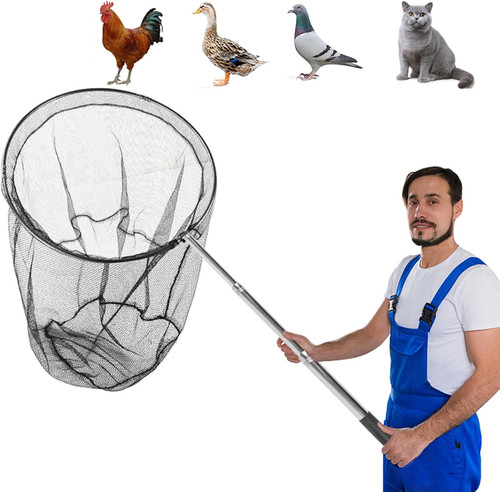 Chicken catching fishing - fishing, net