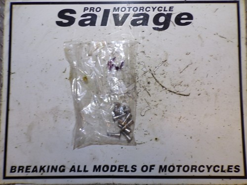 Triumph daytona 955i - triumph,