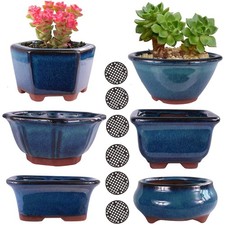 6PACK Glazed Bonsai Pot