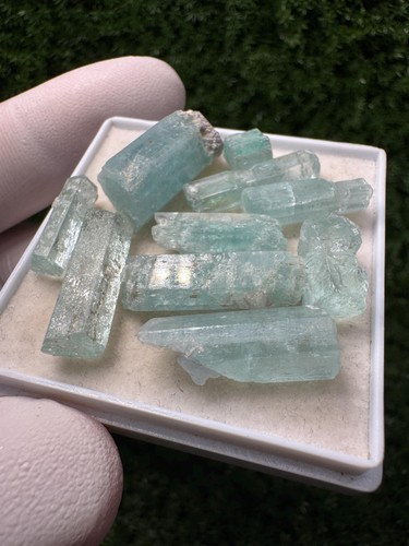 Rare aquamarine lot - aquamarine,