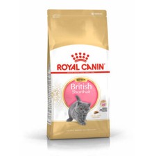 Royal Canin Kitten British