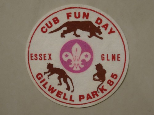 Gilwell park cub - fun, day