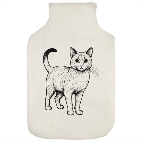 Australian mist cat - 'australian, hot