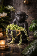 Monkey planter pot ornament - monkey,
