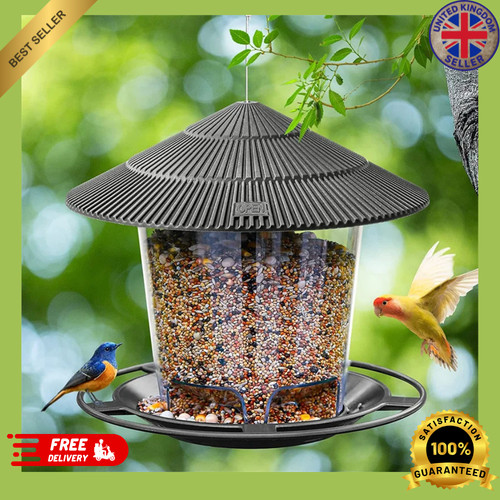 Wild bird feeder garden - bird,