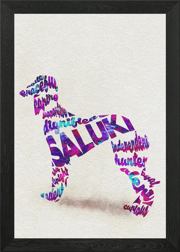 Saluki persian greyhound - saluki,