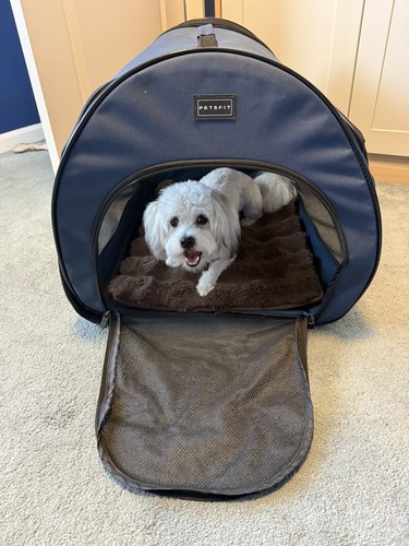 Petsfit collapsible dog crate - petsfit,