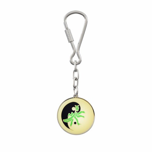 Martial arts key ring - arts,