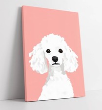 WHITE POODLE DOG ON PINK