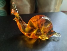 Beautiful Small Glass Snail