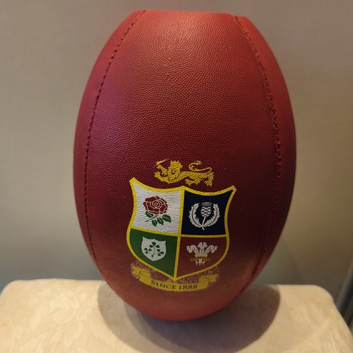 British irish lions rugby - irish,