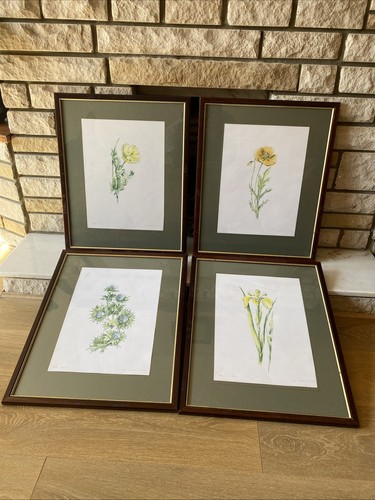 Framed botanical art prints - framed,