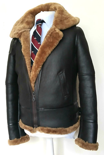 Superb ginger aviator - , "