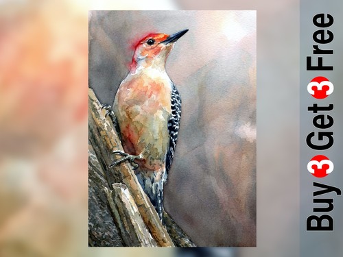 Woodpecker bird print - bird, 5"x7"