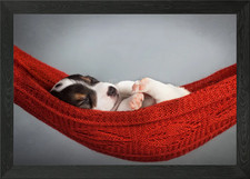 Beagle Dog Puppy Animal Framed