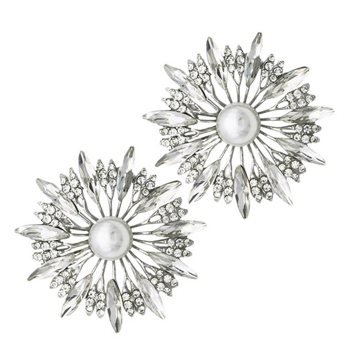 Pair bling shoe clips - shoe,