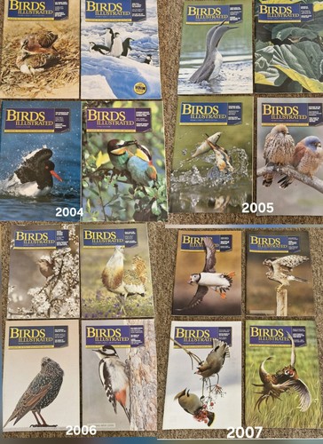 Birds illustrated - birds,