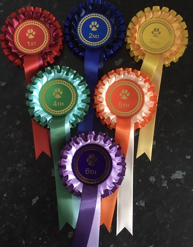 1st 6th tier dog - 1st-6th,