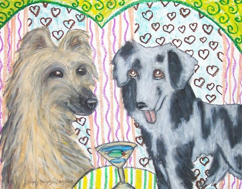 Pyrenean shepherd drinking - drinking, a