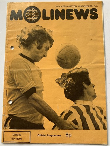 Wolverhampton wanderers match - wolverhampton,