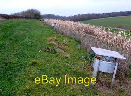 Photo 6x4 pheasant feeders - photo,