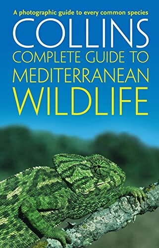 Complete mediterranean - complete,