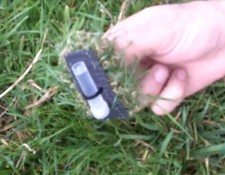 Fake Grass Cache Sneaky