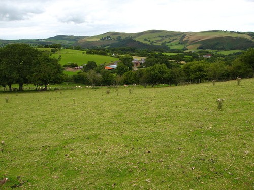 Photo grazing land - grazing,