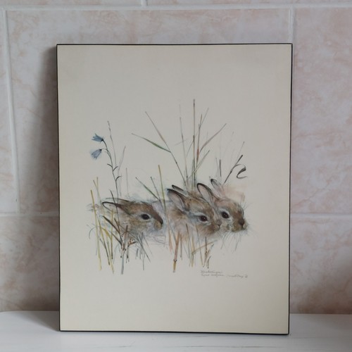 Mads stage hares - rabbits, print