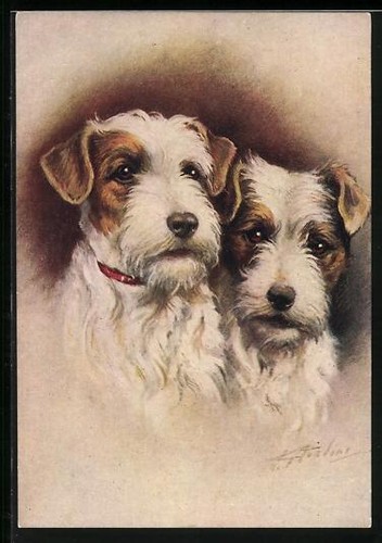 Two sealyham terriers - two,
