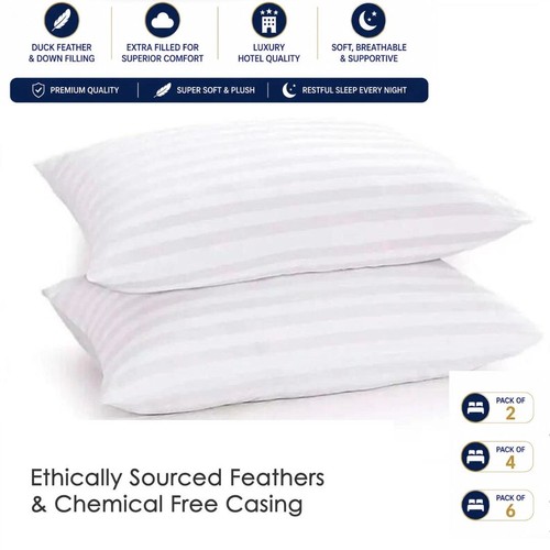 Duck feather pillows - duck,