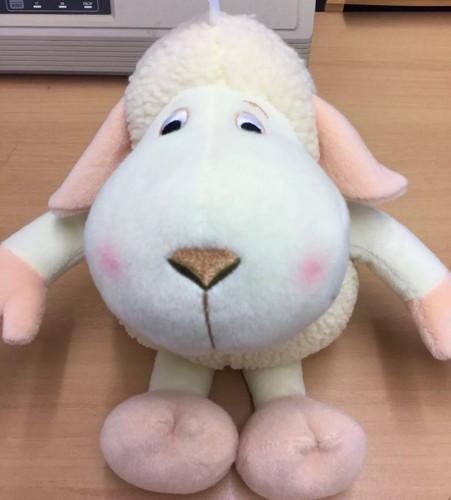 Sheep toy cuddly - sheep,