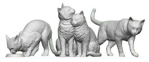 Modelu gauge cats - modelu,