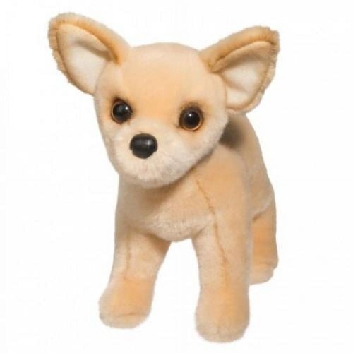 Douglas carlos chihuahua dog - carlos,